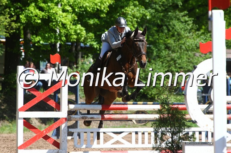 104M8504_Spring L.JPG